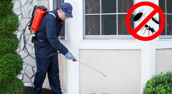 Merkezefendi Dezenfeksiyon böcek ilaçlama ve haşere kontrolü — ilaclama-tr.com